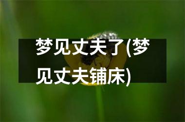 梦见丈夫了(梦见丈夫铺床)