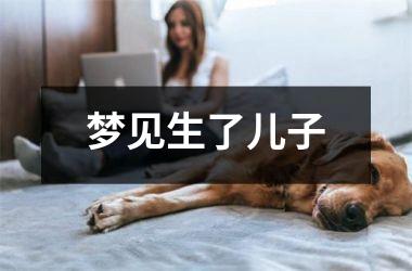<h3>梦见生了儿子