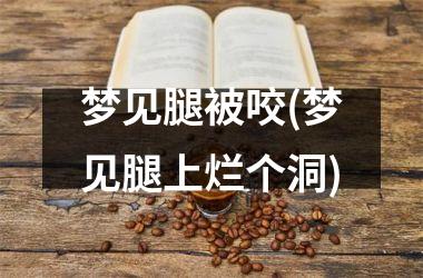 <h3>梦见腿被咬(梦见腿上烂个洞)