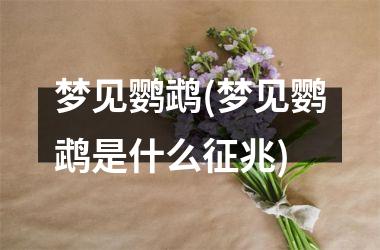<h3>梦见鹦鹉(梦见鹦鹉是什么征兆)