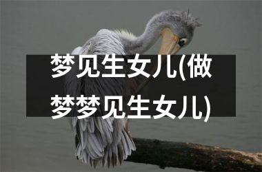 <h3>梦见生女儿(做梦梦见生女儿)