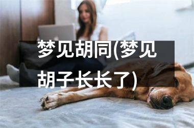 <h3>梦见胡同(梦见胡子长长了)