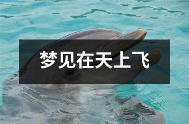 <h3>梦见在天上飞