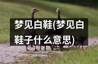 <h3>梦见白鞋(梦见白鞋子什么意思)