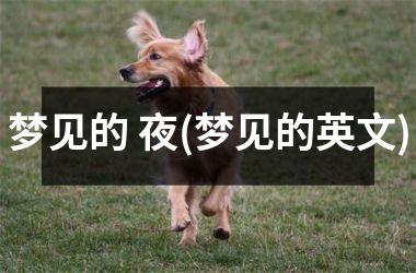 <h3>梦见的 夜(梦见的英文)