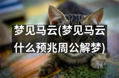 <h3>梦见马云(梦见马云什么预兆周公解梦)