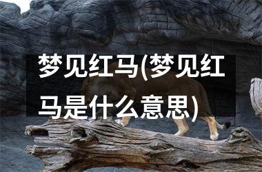 <h3>梦见红马(梦见红马是什么意思)