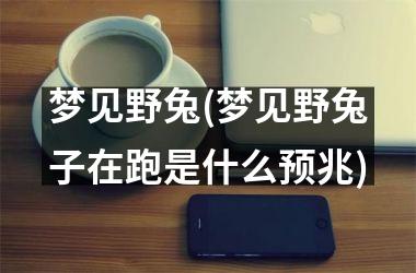 <h3>梦见野兔(梦见野兔子在跑是什么预兆)