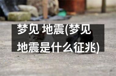 <h3>梦见 地震(梦见地震是什么征兆)
