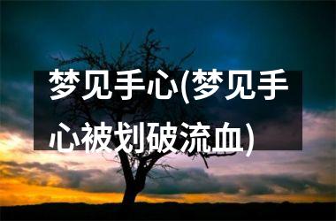 <h3>梦见手心(梦见手心被划破流血)