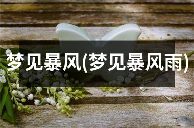 <h3>梦见暴风(梦见暴风雨)