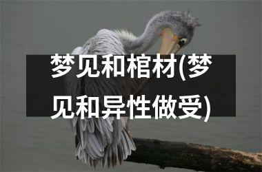 梦见和棺材(梦见和异性做受)