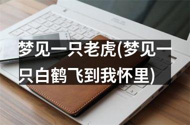 <h3>梦见一只老虎(梦见一只白鹤飞到我怀里)