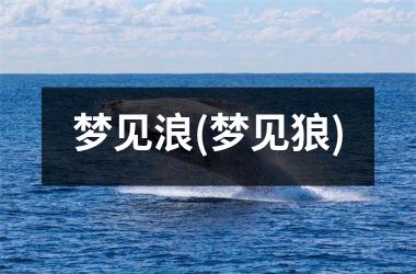 <h3>梦见浪(梦见狼)