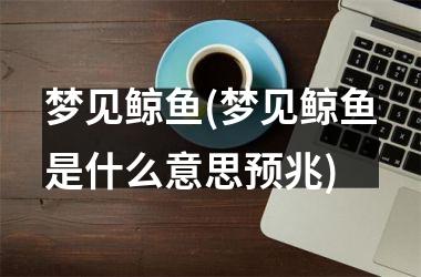 <h3>梦见鲸鱼(梦见鲸鱼是什么意思预兆)