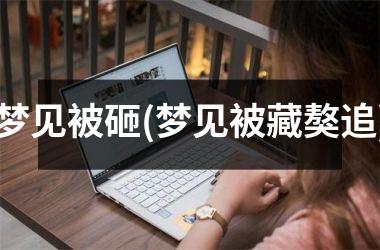 <h3>梦见被砸(梦见被藏獒追)