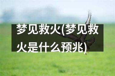 <h3>梦见救火(梦见救火是什么预兆)