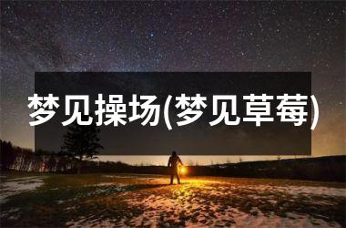 梦见操场(梦见草莓)
