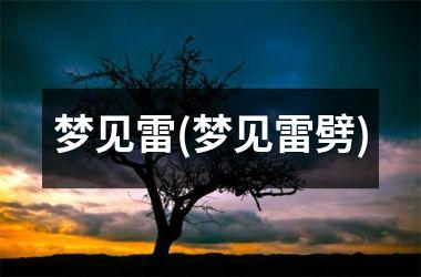 <h3>梦见雷(梦见雷劈)