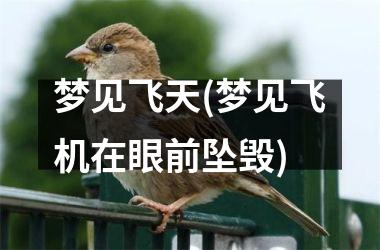 <h3>梦见飞天(梦见飞机在眼前坠毁)