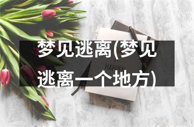 梦见逃离(梦见逃离一个地方)