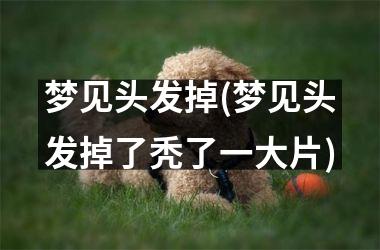 <h3>梦见头发掉(梦见头发掉了秃了一大片)