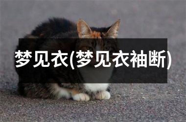 <h3>梦见衣(梦见衣袖断)