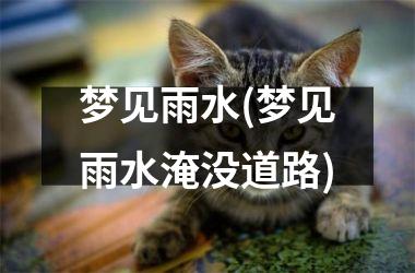 梦见雨水(梦见雨水淹没道路)