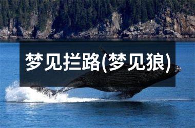 <h3>梦见拦路(梦见狼)