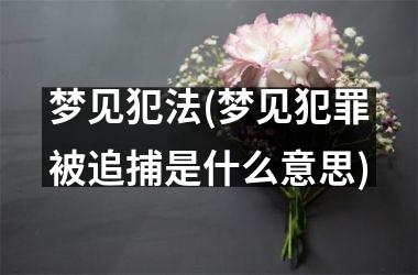 <h3>梦见犯法(梦见犯罪被追捕是什么意思)