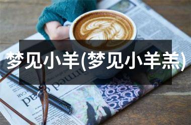 梦见小羊(梦见小羊羔)