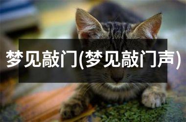 梦见敲门(梦见敲门声)