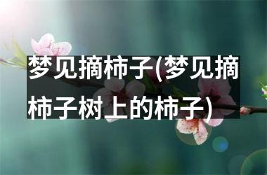 <h3>梦见摘柿子(梦见摘柿子树上的柿子)