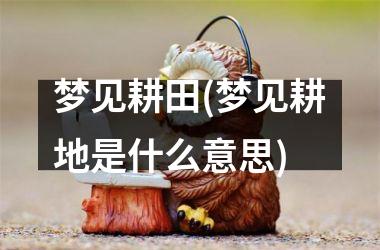 梦见耕田(梦见耕地是什么意思)