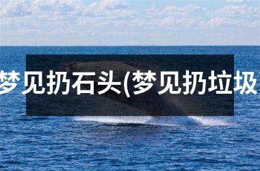 <h3>梦见扔石头(梦见扔垃圾)
