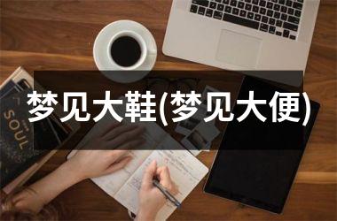 <h3>梦见大鞋(梦见大便)