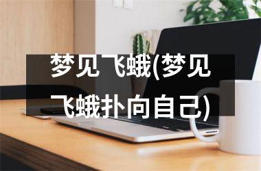 梦见飞蛾(梦见飞蛾扑向自己)