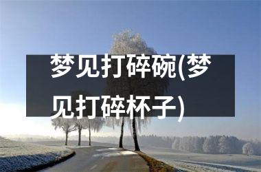 梦见打碎碗(梦见打碎杯子)
