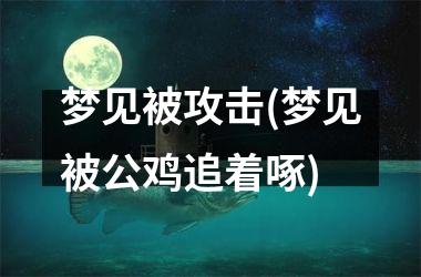 <h3>梦见被攻击(梦见被公鸡追着啄)