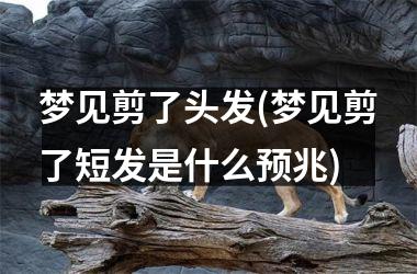 <h3>梦见剪了头发(梦见剪了短发是什么预兆)