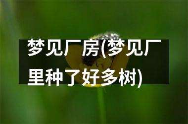 <h3>梦见厂房(梦见厂里种了好多树)