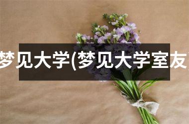 <h3>梦见大学(梦见大学室友)