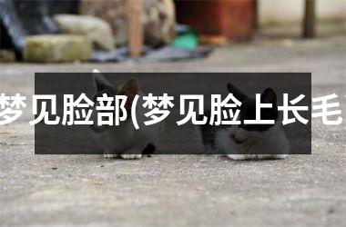 梦见脸部(梦见脸上长毛)