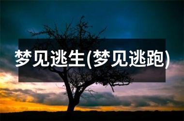 <h3>梦见逃生(梦见逃跑)