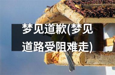 梦见道歉(梦见道路受阻难走)