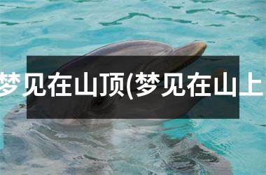 <h3>梦见在山顶(梦见在山上)