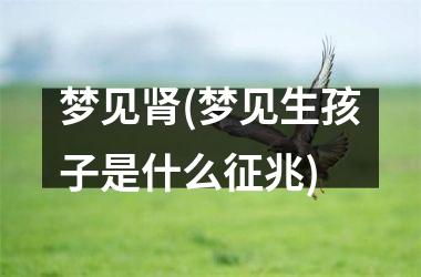 <h3>梦见肾(梦见生孩子是什么征兆)
