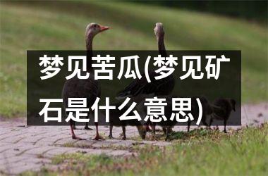 <h3>梦见苦瓜(梦见矿石是什么意思)