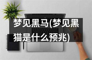 <h3>梦见黑马(梦见黑猫是什么预兆)