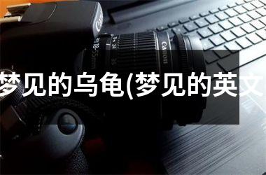 梦见的乌龟(梦见的英文)